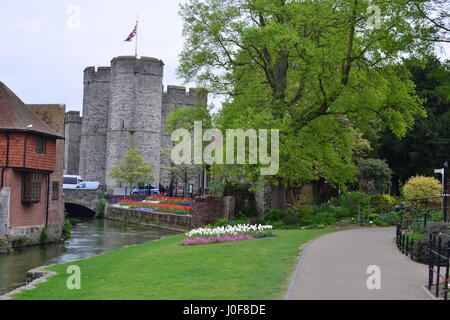 Westgate, welches der mittelalterlichen Tor-House-Bereich in Canterbury Teil der Stadtmauer, der größte erhaltene in England. Stockfoto