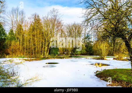 Teilweise gefrorenen Teich in Campbell Valley Park im Township in Langley, British Columbia, Kanada an einem schönen Wintertag Stockfoto