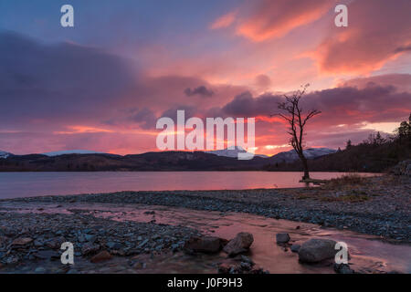 Sonnenuntergang über Ben Lomond und Loch Ard in der Nähe von Aberfoyle in der Lomond Trossachs National Park Sterling-Schottland Stockfoto