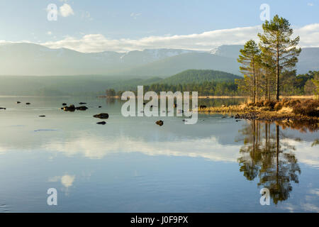 Sonnenaufgang über den Cairngorm Mountains und Loch Morlich Schottland