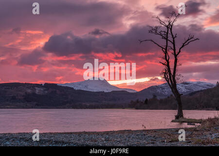 Sonnenuntergang über Ben Lomond und Loch Ard in der Nähe von Aberfoyle in der Lomond Trossachs National Park Sterling-Schottland Stockfoto