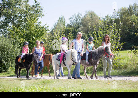 Shetland-Pony. Erwachsene führen Ponys mit Kindern auf dem Pferderücken. Österreich Stockfoto