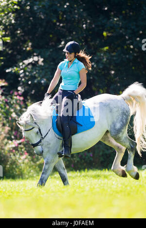 Connemara Pony. Junge Reiter auf Rückseite eine graue Erwachsenen Ruckeln auf einer Wiese. Österreich Stockfoto