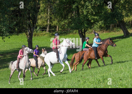 Gruppe von Fahrern auf ein cross-country Ritt im Galopp auf der Weide. Österreich Stockfoto