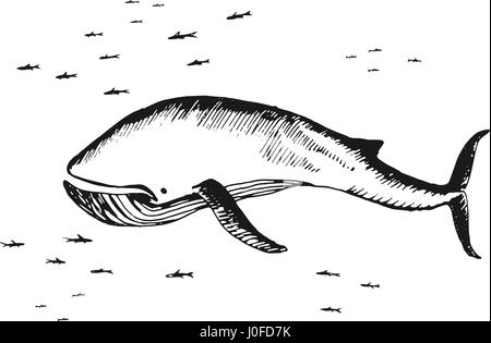 Marine Wal, umgeben von kleinen Fischen Stock Vektor