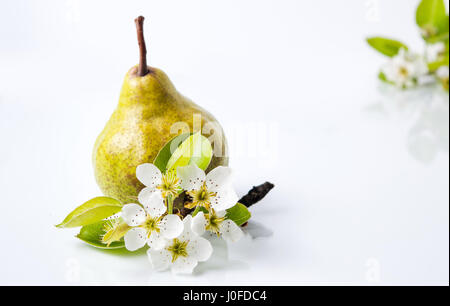 Bio Birne Frucht und Baum Blüte isoliert auf weiss Stockfoto