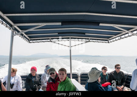 Touristen auf eine Whale-watching-Tour von Friday Harbor in den San Juan Islands, Washington, USA Stockfoto