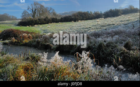 Späten Herbstsonne über eine gefrorene Landschaft. Stockfoto