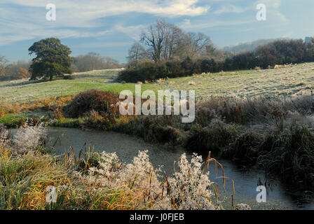 Späten Herbstsonne über eine gefrorene Landschaft. Stockfoto