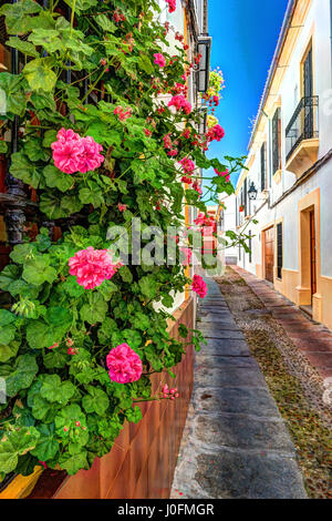 Schöne weiße Wände geschmückt mit bunten Blumen Stockfoto