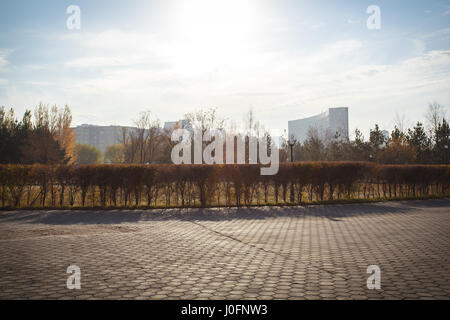 Herbst in Astana. Orange, gelbe und grüne Blätter an Bäumen und Rasen sind übersät mit Laub Stockfoto