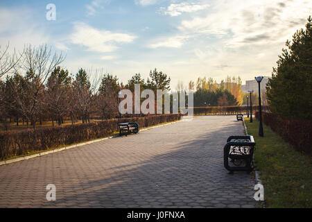 Herbst in Astana. Orange, gelbe und grüne Blätter an Bäumen und Rasen sind übersät mit Laub Stockfoto