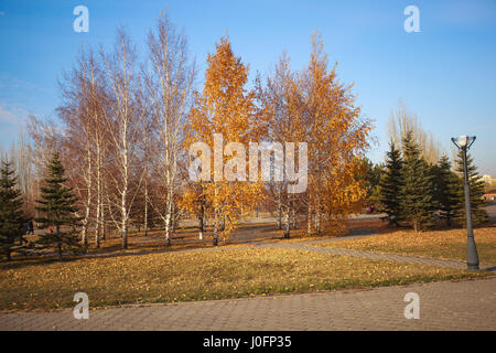 Herbst in Astana. Orange, gelbe und grüne Blätter an Bäumen und Rasen sind übersät mit Laub Stockfoto