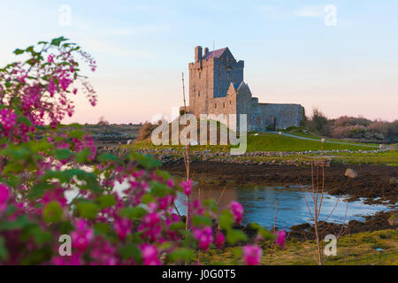 Dunguaire Castle am Ufer des Ozeans Bucht während des Sonnenuntergangs. Kinvara, Co. Galway, Irland Stockfoto