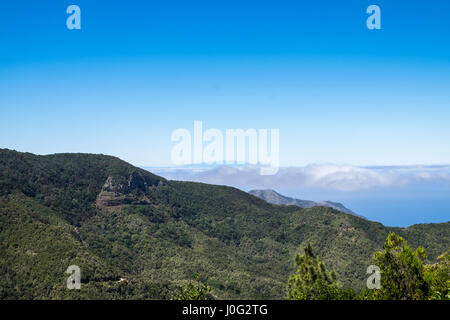 Mit Blick auf dichten Waldgebiet auf der Teno Masif nahe Erjos auf im Nordwesten von Teneriffa, La Palma sichtbar über den Wolken am Horizont, Canar Stockfoto