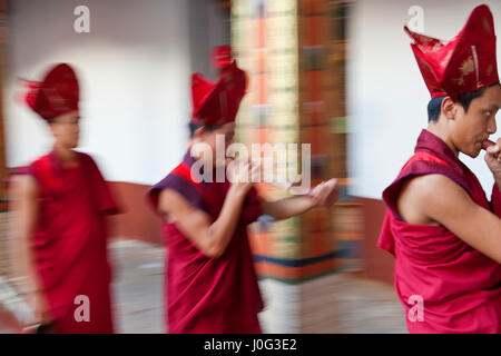 Mönche, die Durchführung von buddhistischen Zeremonie, Punakha Dzong (Kloster), Punakha, Bhutan Stockfoto