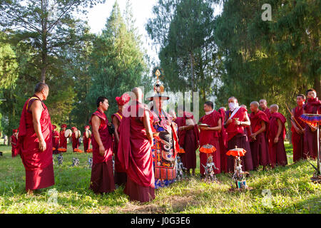 Mönche, die Durchführung von buddhistischen Zeremonie, Punakha Dzong (Kloster), Punakha, Bhutan Stockfoto