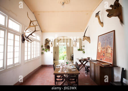 Hemingway House, Havanna, Cub Stockfoto