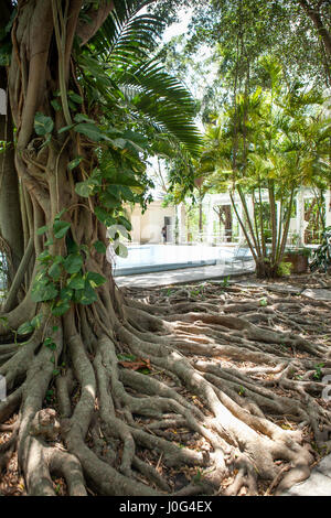 Hemingway-Haus, Havanna, Kuba Stockfoto