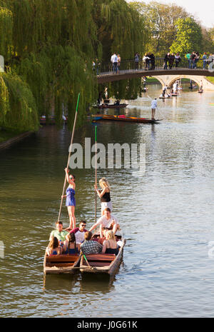 Frauen Stechkahn fahren Cambridge auf dem Fluss Cam, Cambridge UK Stockfoto