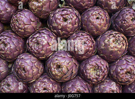 Muster der viele violette Artischocke Blumen in Reihen, Tageslicht im freien Markt Regal Stockfoto