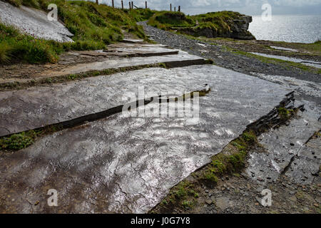 Sandsteinfelsen mit Ripplemarken an den Cliffs of Moher, County Clare, Irland Stockfoto