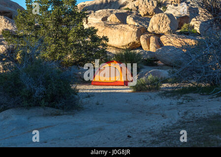 Camping Zelt im Joshua Tree Nationalpark, Kalifornien, USA. Stockfoto