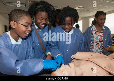 170407-N-GM597-097 Portsmouth, Virginia (7. April 2017) Schüler der fünften Klasse im Park View Elementary School berühren das Gesicht eine medizinische Simulation Schaufensterpuppe wie es atmet und blinkt. Mehr als ein Dutzend Mitarbeiter von Naval Medical Center Portsmouth teilgenommen Career Day an der Grundschule in Portsmouth durch die Einrichtung von drei interaktiven Wissenschaft, Technologie, Ingenieurwesen und Mathematik STEM-Stationen in der Schule-Science-Lab. (US Navy Foto von Rebecca A. Perron/freigegeben) Stockfoto