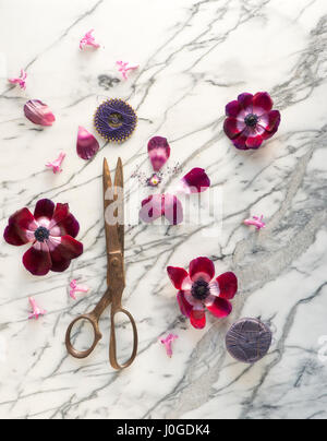 Still Life Anemone Blumen auf Marmor Stockfoto