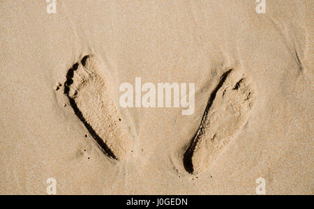 Fußspuren im sand Stockfoto