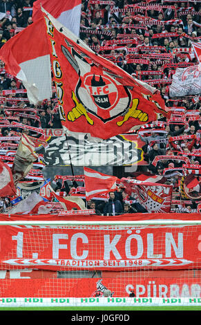 Kölner Fanblock, Fahne 1. FC Köln, RheinEnergie Stadion, Köln, Nordrhein-Westfalen, Deutschland Stockfoto