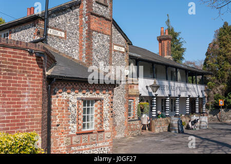 16. Jahrhundert The Duke of Wellington Pub, Guildford Road, East Horsley, Surrey, England, Vereinigtes Königreich Stockfoto