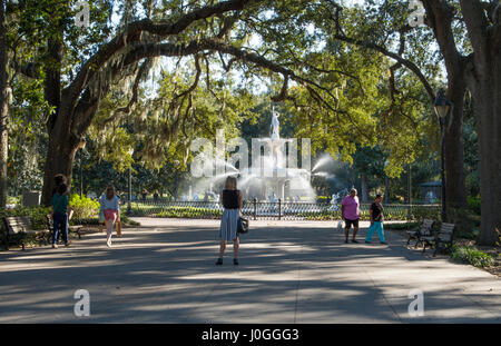 Savannah Georgia berühmten Brunnen im Forsyth Park im historischen Innenstadt park Stockfoto