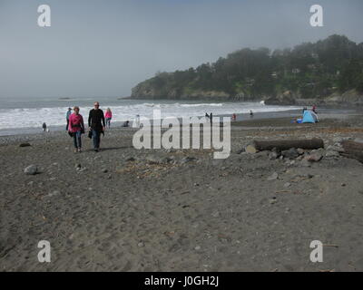 Muir Beach, Kalifornien Stockfoto