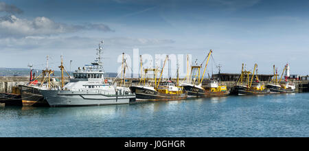 Panorama Panorama Newlyn Fishing Port Saint Piran Fischerei Patrouille Schiff Angelboote/Fischerboote Fischereifahrzeuge Baumkurrentrawlern Fishing fleet Hafen Cornwall Stockfoto