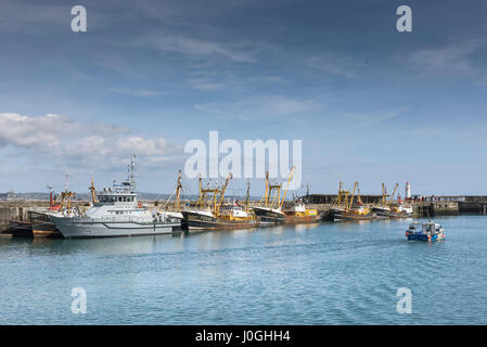 Newlyn Fishing Port Angeln Boote Schiffe Strahl Trawler St Piran Fischerei Patrouille Fischereifahrzeug Angeln Flotte Hafen Hafen gebunden, bis Stockfoto