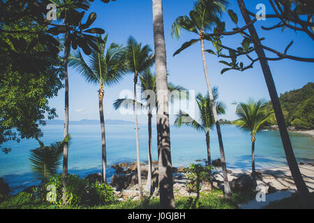 Private Strand mit Palmen an einem heißen Tag Stockfoto