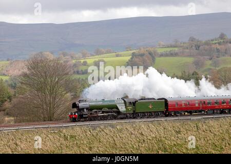 Dampfzug LNER A3 Klasse 4-6-2 keine 60103 Flying Scotsman. Lazonby, Eden Valley, Cumbria, machen Sie es sich Carlisle Railway Line, England, Vereinigtes Königreich. Stockfoto