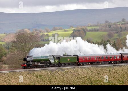 Dampfzug LNER A3 Klasse 4-6-2 keine 60103 Flying Scotsman. Lazonby, Eden Valley, Cumbria, machen Sie es sich Carlisle Railway Line, England, Vereinigtes Königreich Stockfoto