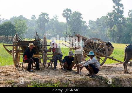 Männer mit traditionellen Ochsenkarren, in der Nähe von Siem Reap, Kambodscha Stockfoto