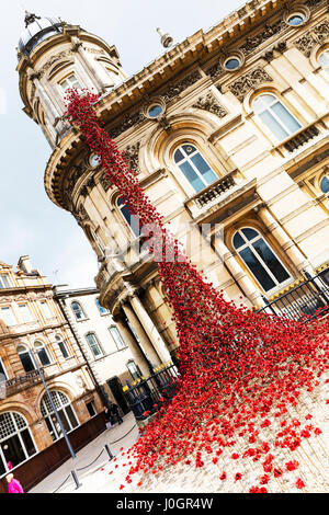 Weinend Fenster im Rumpf Kaskade von Mohnblumen auf das Maritime Museum im Stadtzentrum von Hull Kingston nach Rumpf UK England Rumpf Hull City Center Mohn Kunst Stockfoto