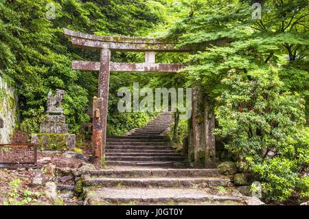 Torii-Tor und Schritte von Daisho-in Tempel, Insel Miyajima, westlichen Honshu, Japan Stockfoto