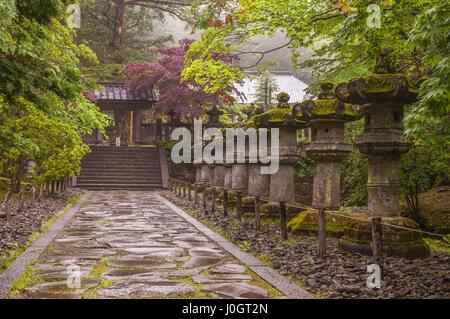 Stein-Laternen auf der Seite Geschichtliches, die den Weg zum Futarasan-Schrein in Nikko, Tochigi, Japan Stockfoto