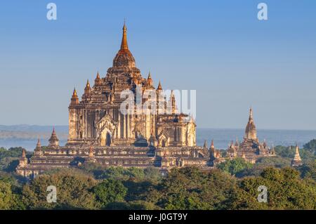 Die Thatbyinnyu einer der schönsten Tempel von Bagan nach Sonnenaufgang, Ebene von Bagan, Myanmar. Stockfoto