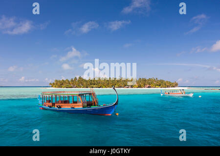 Alimatha Insel, Felidhu Atoll, Malediven Stockfoto