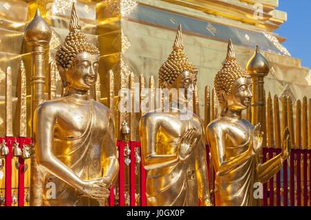 Reihe von goldenen Buddhas am Wat Prathat Doi Suthep, Chiang Mai, Thailand. Stockfoto