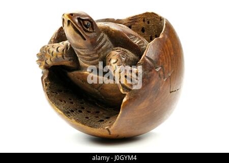 Antike japanische Netsuke Schildkröte gemacht aus Buchsbaum isoliert auf weißem Hintergrund Stockfoto