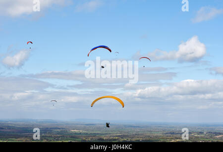 Brighton, UK. 13. April 2017. Etwa 50 Gleitschirme fielen über Devils Dyke nördlich von Brighton Vormittag mit perfekten Flugbedingungen Norden westlicher Wind und warme Thermik auf der South Downs in Sussex. Das Wetter wird voraussichtlich Kühler in ganz Großbritannien über Ostern Feiertag Credit: Simon Dack/Alamy Live News Stockfoto