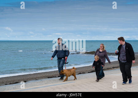 Aberystwyth Wales UK, Donnerstag, 13. April 2017 UK Wetter: Passanten ihre Hunde am Meer promenade an einem kalten aber hellen und luftigen Tag in Aberystwyth, Wales, am Vorabend von Ostern Bank Holiday Wochenende Foto Credit: Keith Morris/Alamy Live News Stockfoto