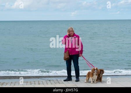 Aberystwyth Wales UK, Donnerstag, 13. April 2017 UK Wetter: Passanten ihre Hunde am Meer promenade an einem kalten aber hellen und luftigen Tag in Aberystwyth, Wales, am Vorabend von Ostern Bank Holiday Wochenende Foto Credit: Keith Morris/Alamy Live News Stockfoto